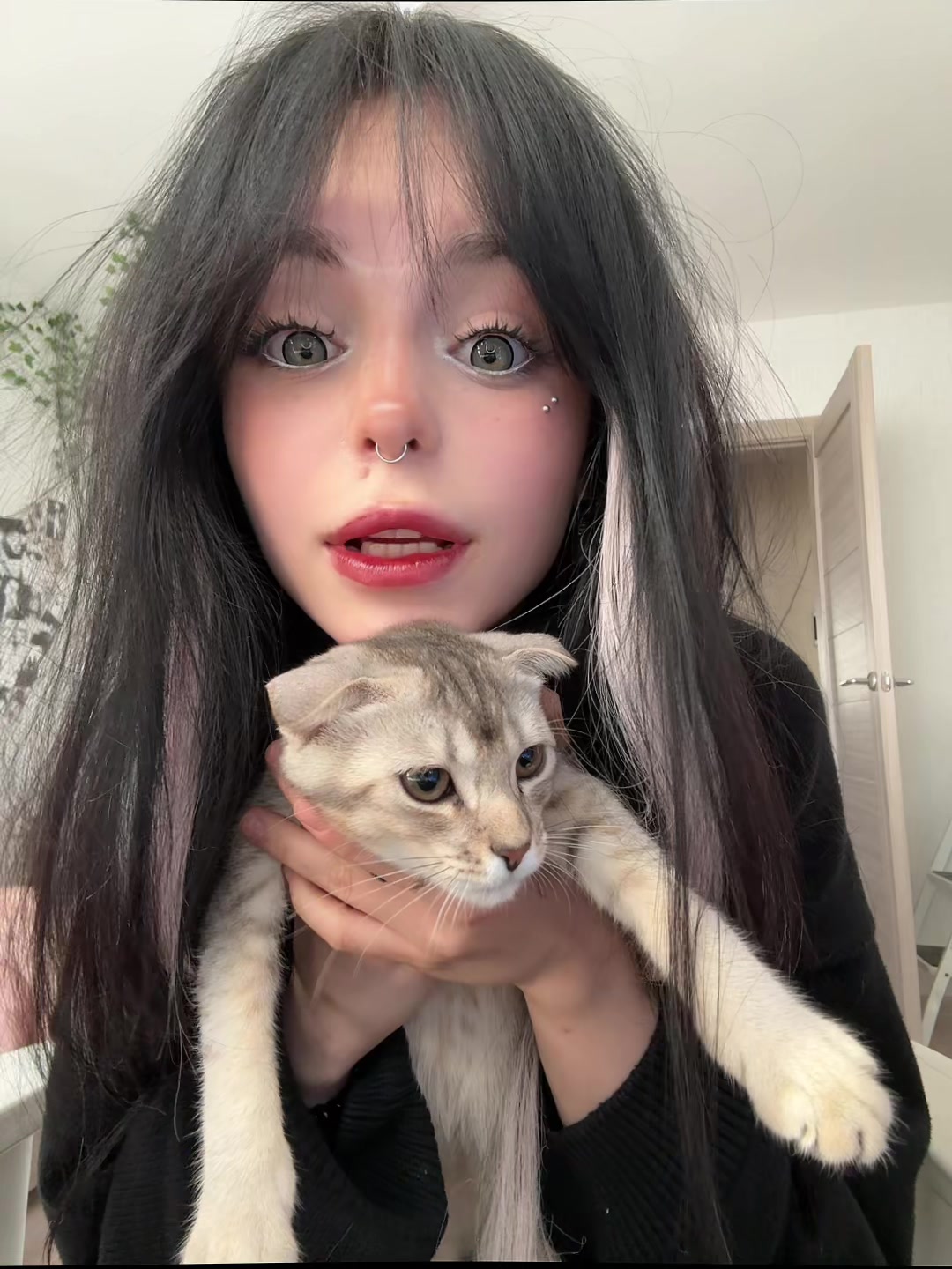 @тгк: крипси