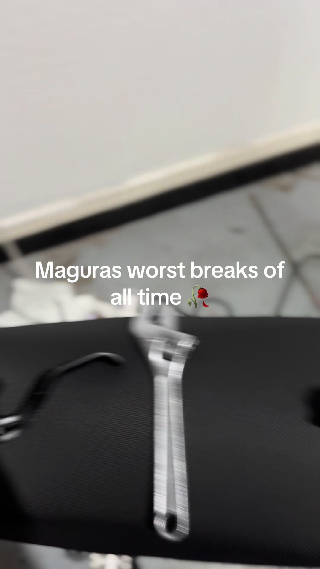 @𝟟𝟚𝕞𝕚𝕔𝕒𝕙.
