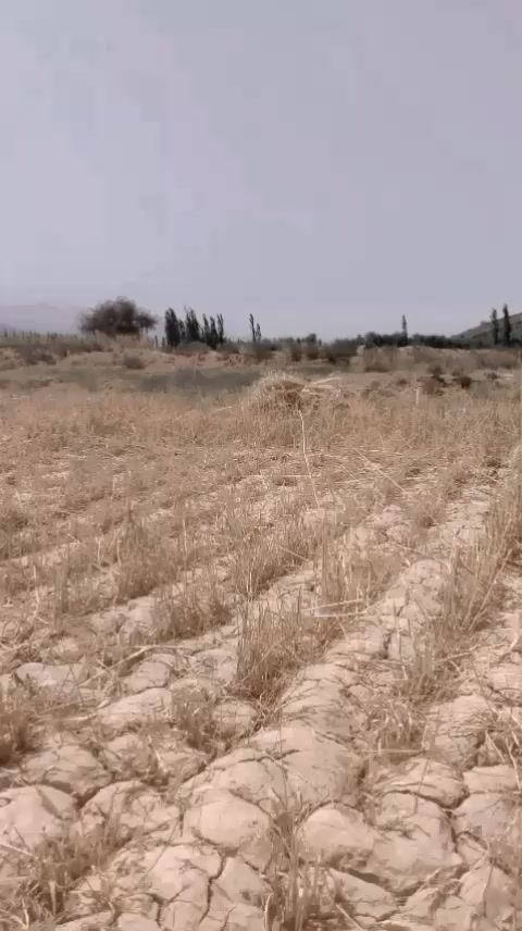 @Suratkhan778