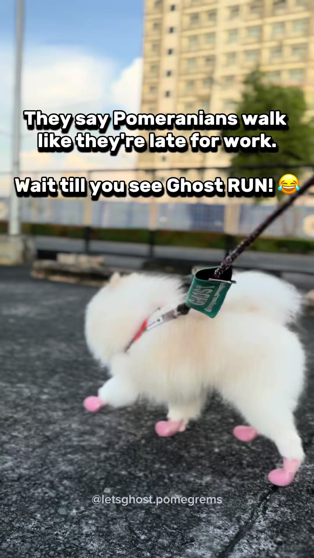 @G H O S T TheRunnerPom