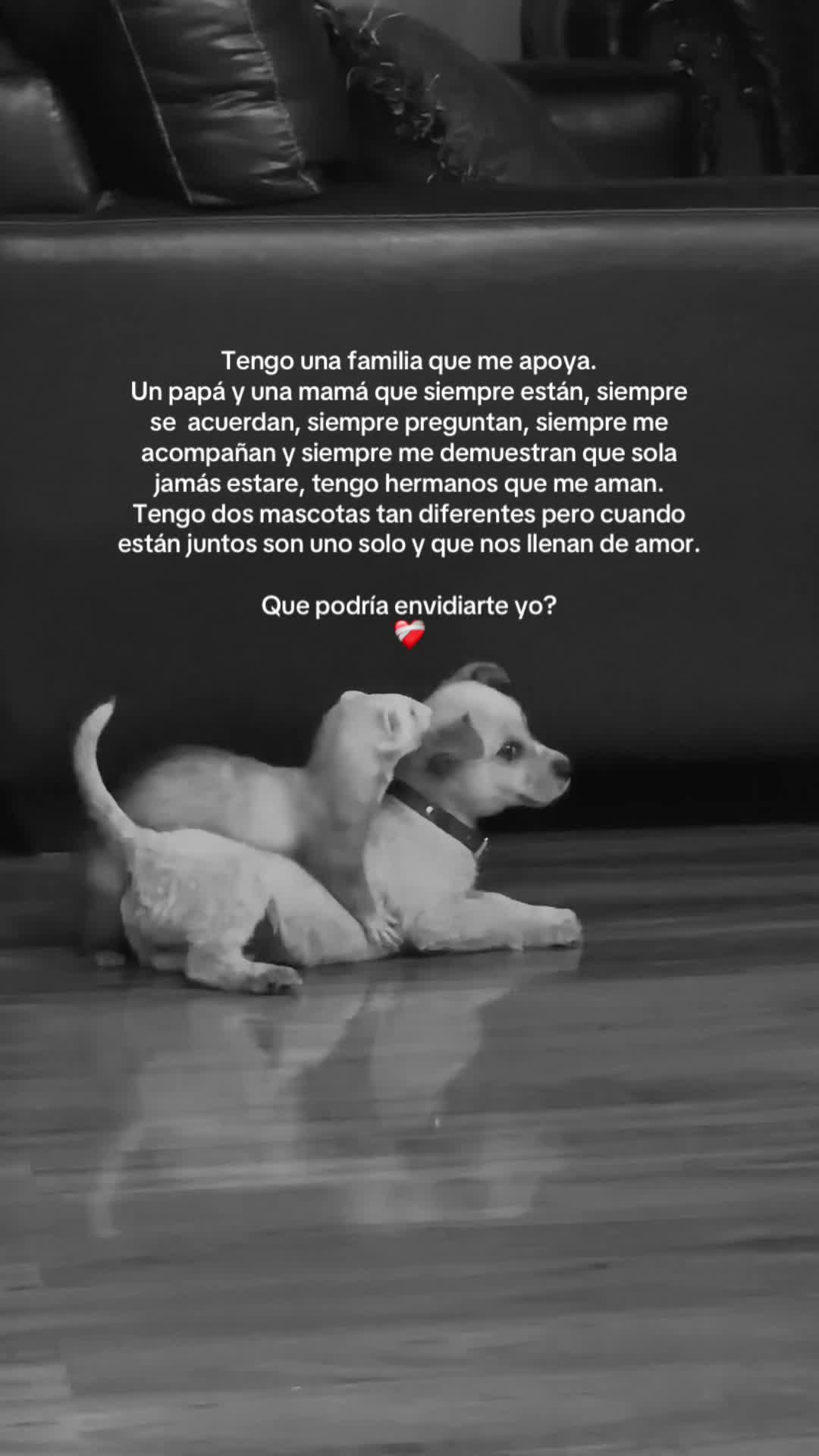 @vanjagoomezz