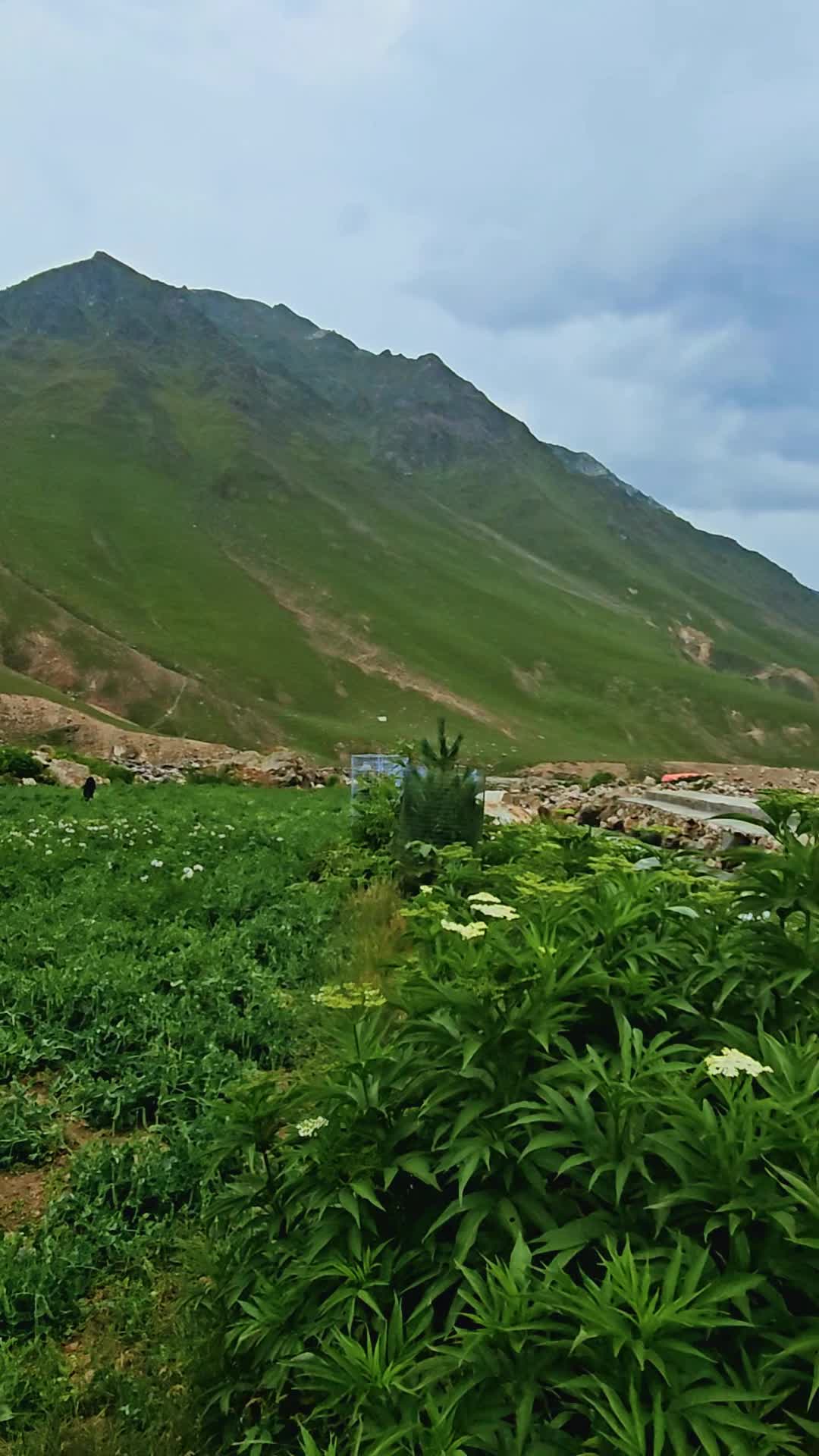 @ₒᵣdᵢₙₐᵣy⛰️ₜᵣₐᵥₑₗₗₑᵣ