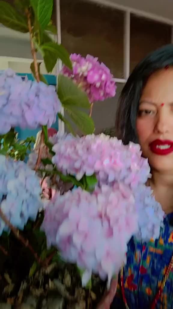 @Malati_Shrestha