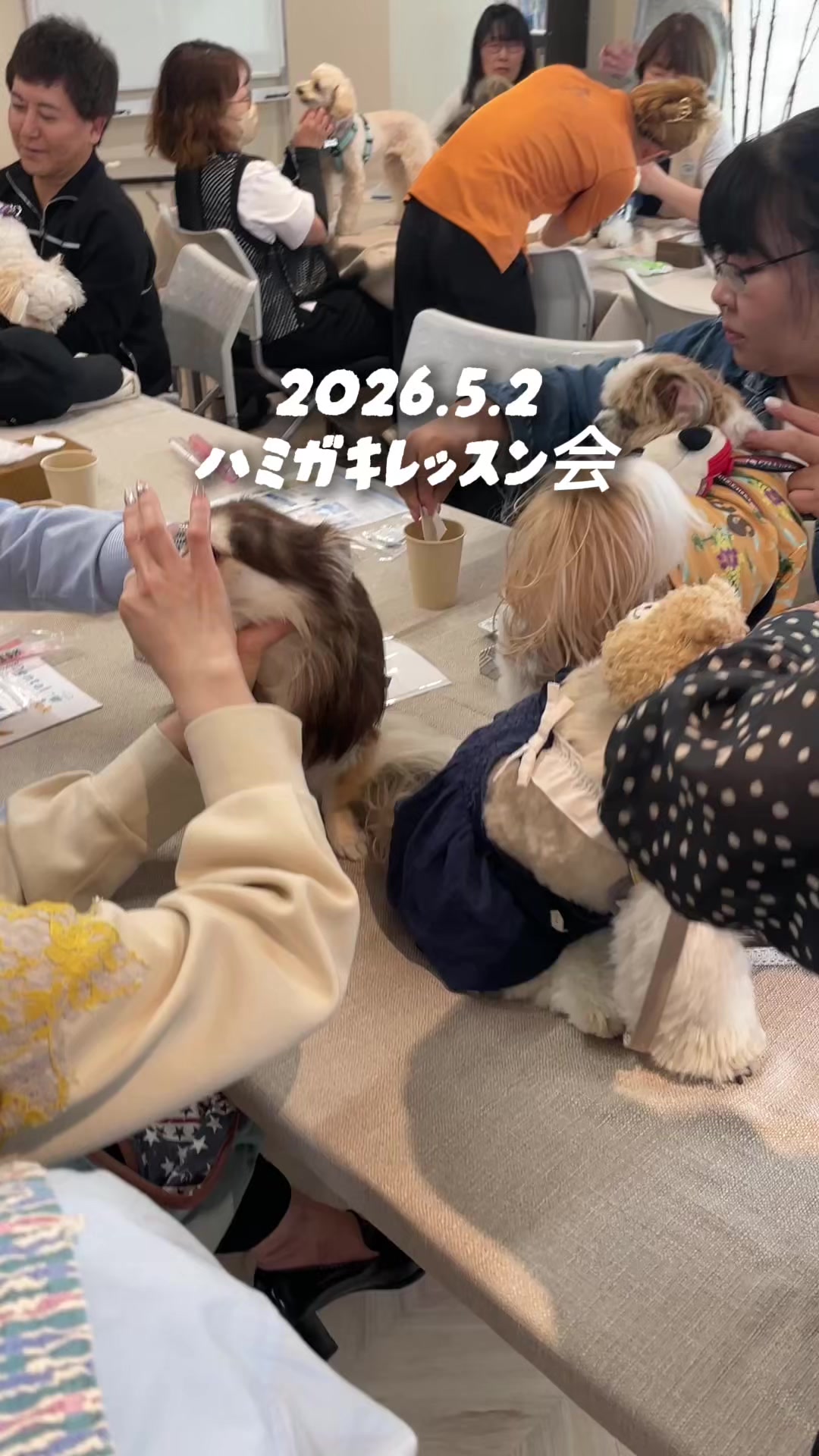@帝塚山ハウンドカム