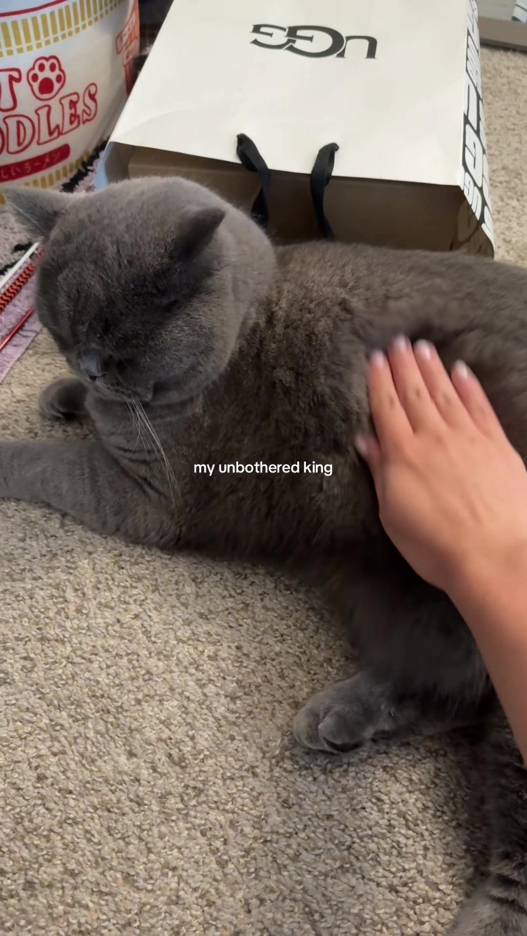 @vivz⁷⋆˚✿