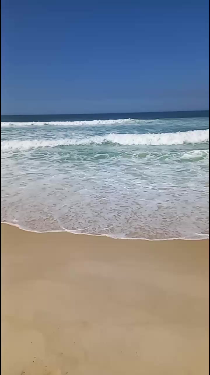 @vandinho Arruda