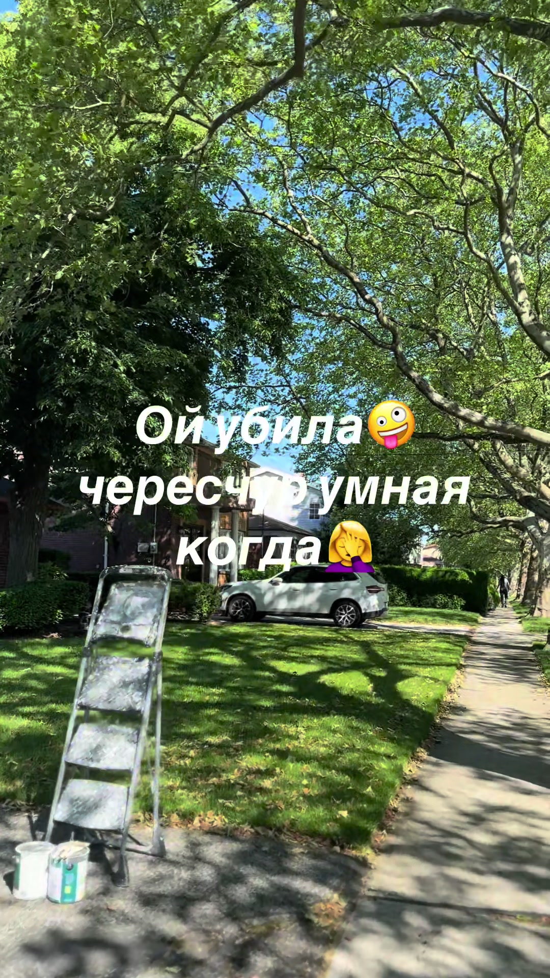 @🎙️LoLaVox🎙️