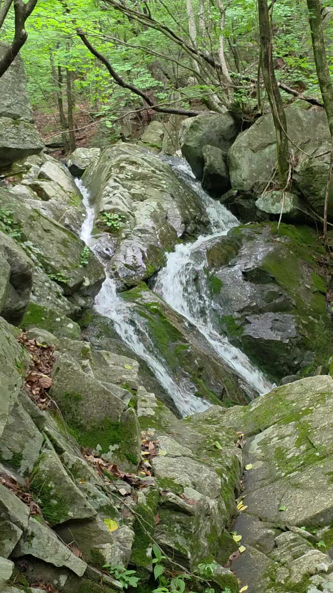 @이소희(오산)