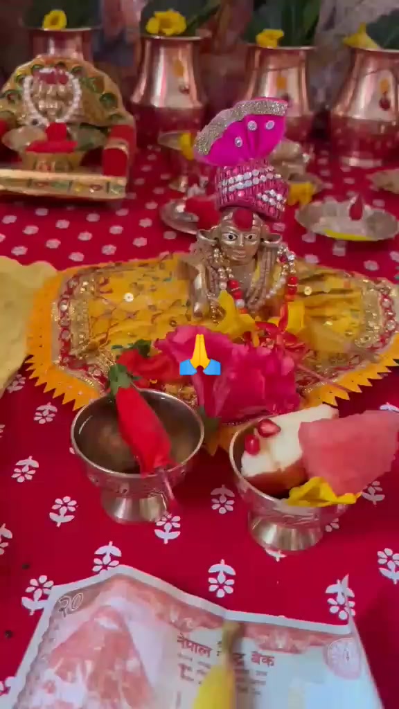 @nirmalabaral680