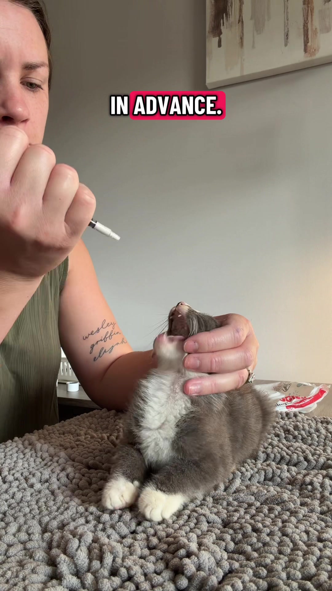 @Taylor & Cats 🐱