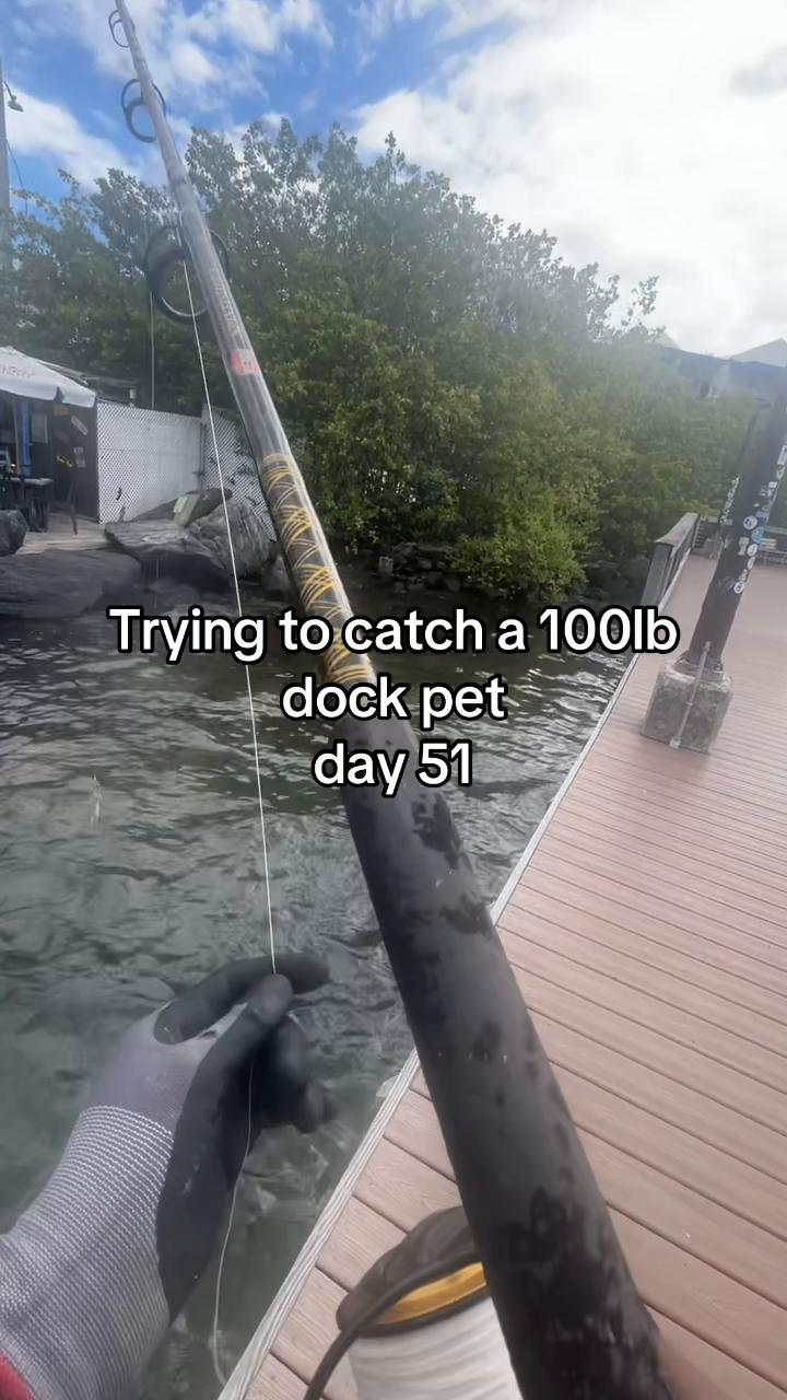 @Sandy’s bait & tackle