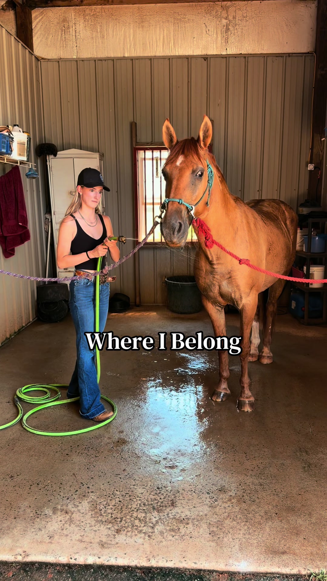 @brooklynn 🪶🐴🃏