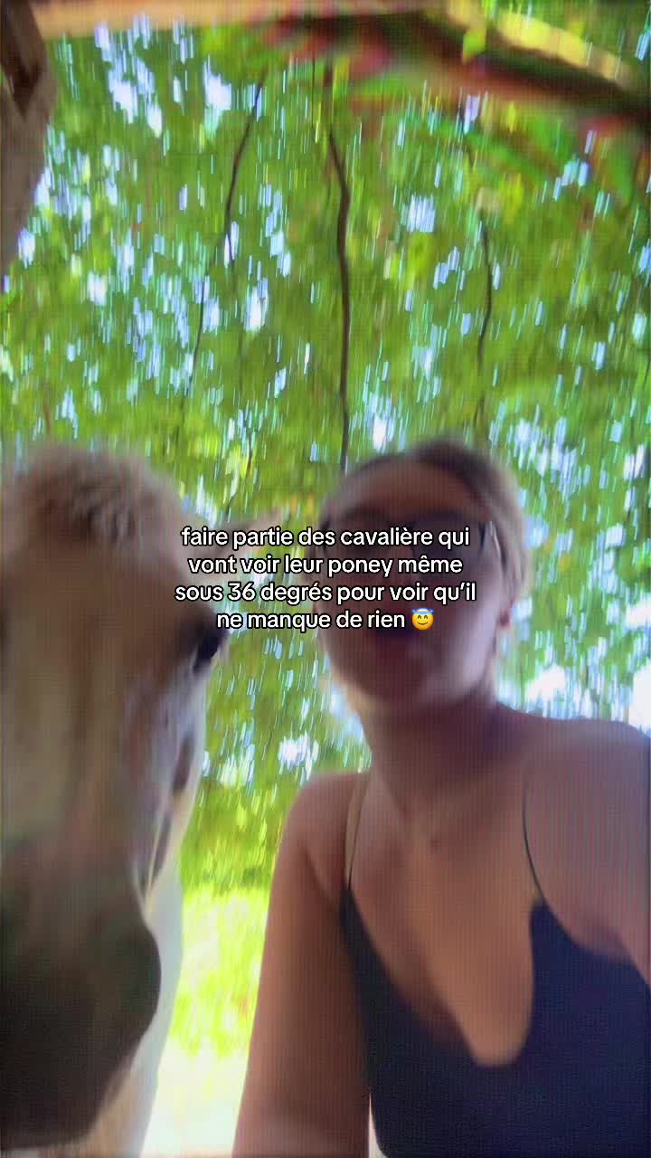 @benjyylepetitponey