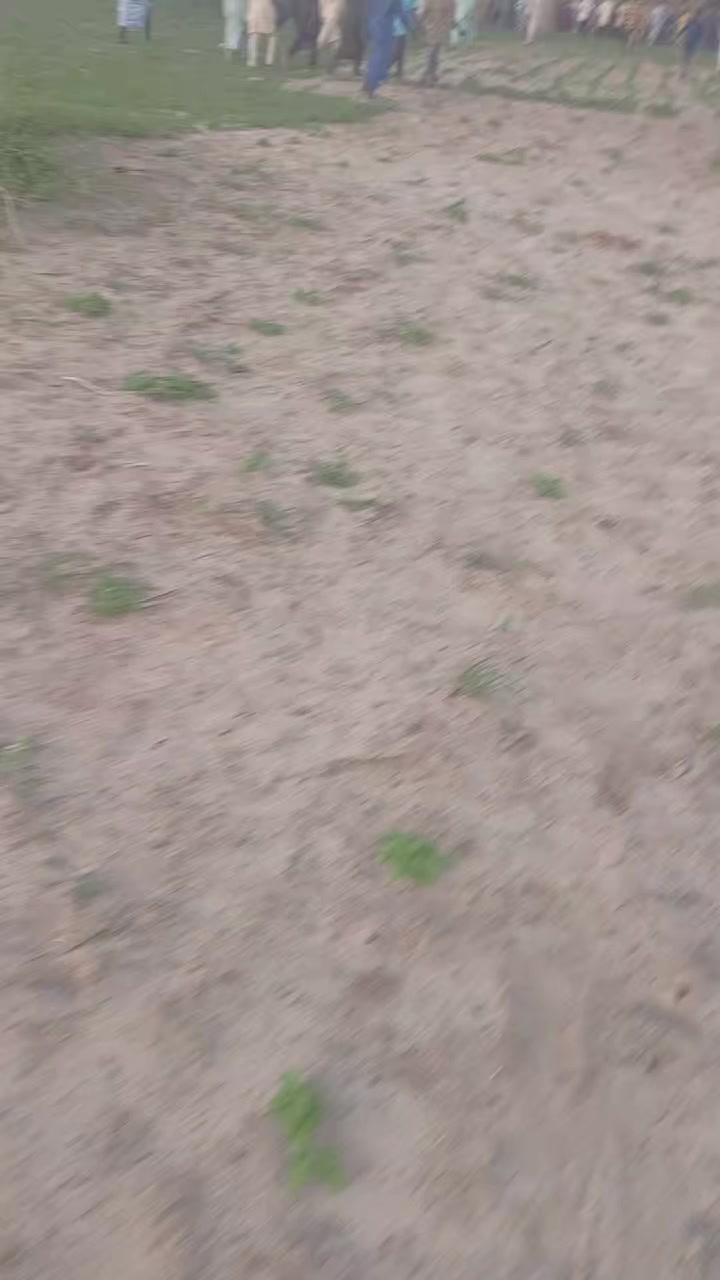 @maizarra12