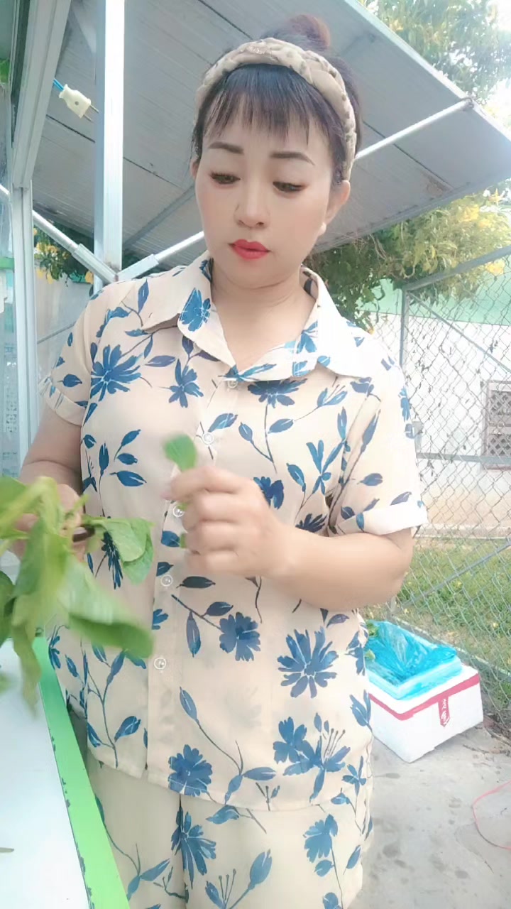 @🆚CÔ HAI NINH THUẬN