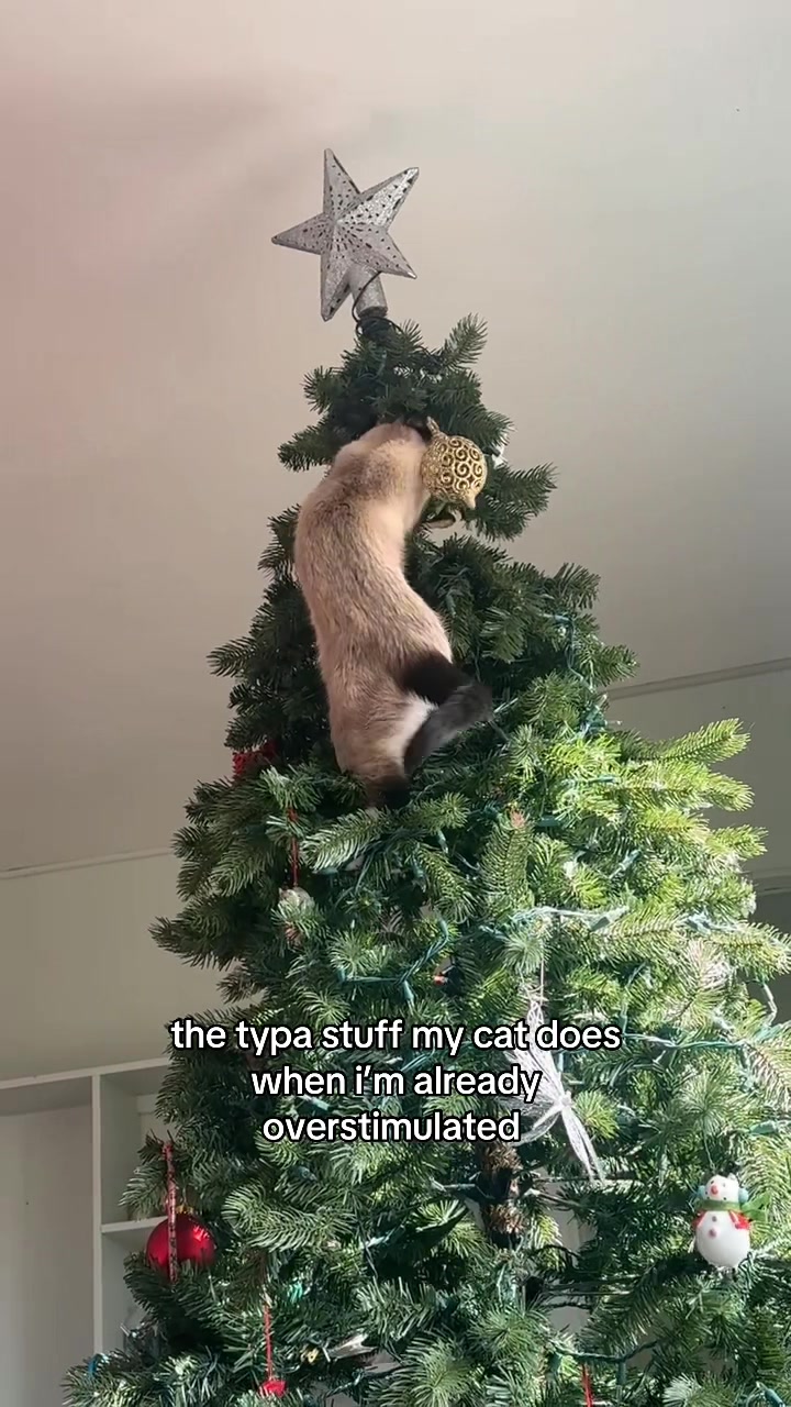 @sav