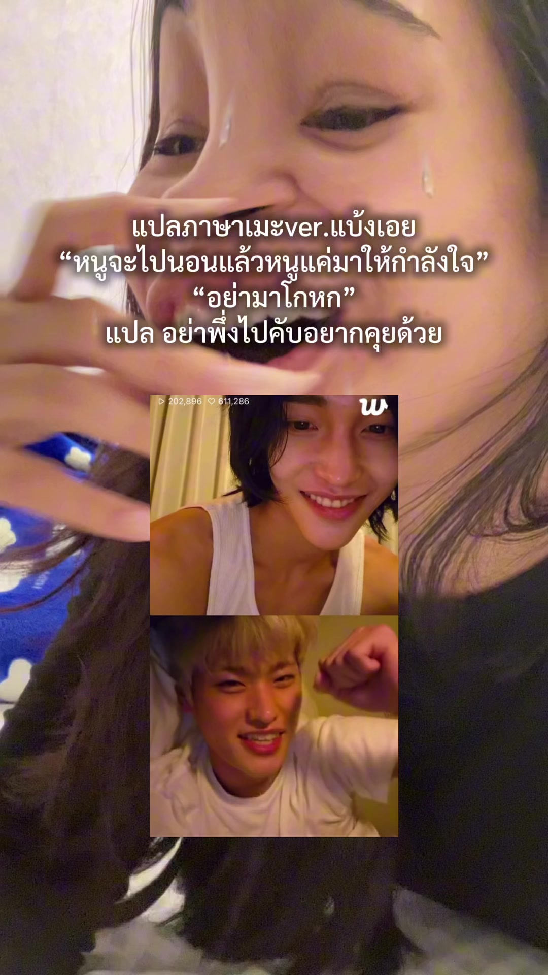 @amistamp