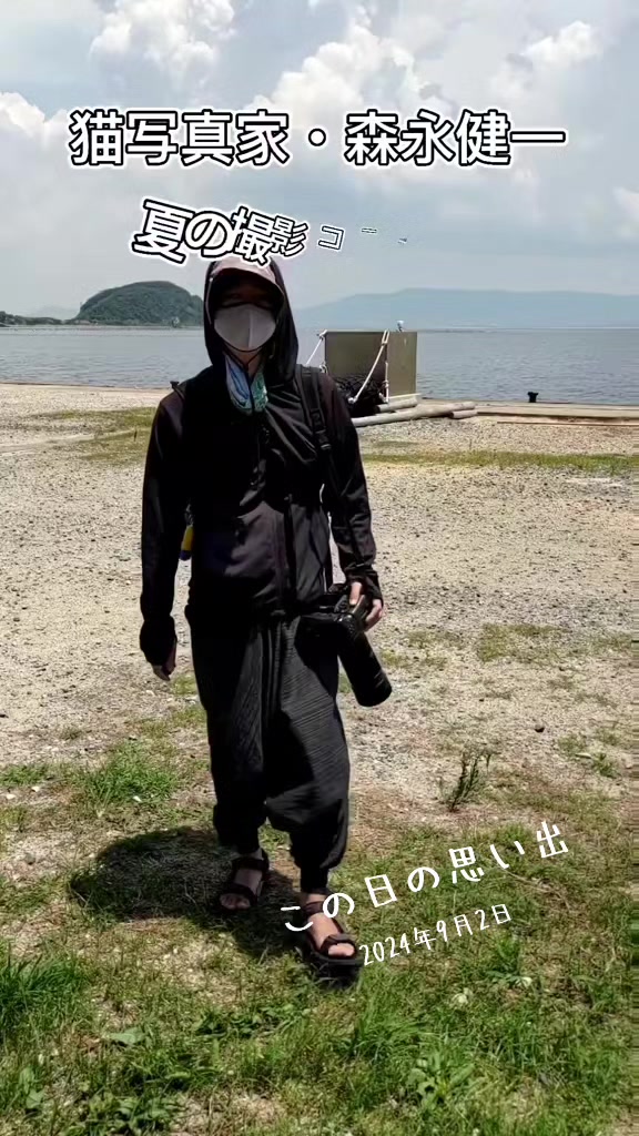 @猫写真家 森永健一