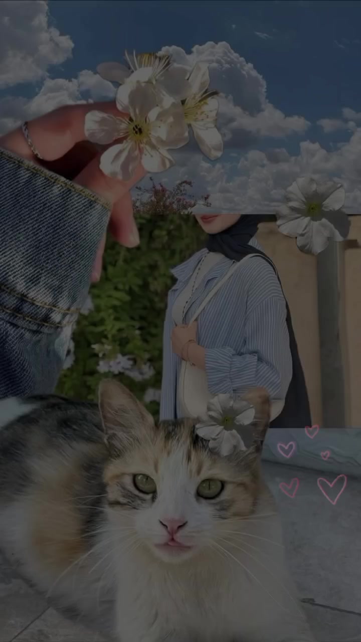 @🦋𝐑𝐎𝐒𝐄 //𐙚روُزيــــــ