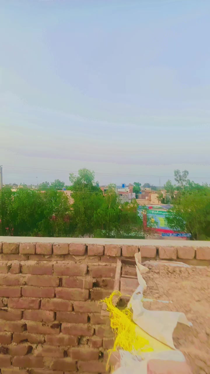 @بلال بھٹی ساہیوال والا804👑