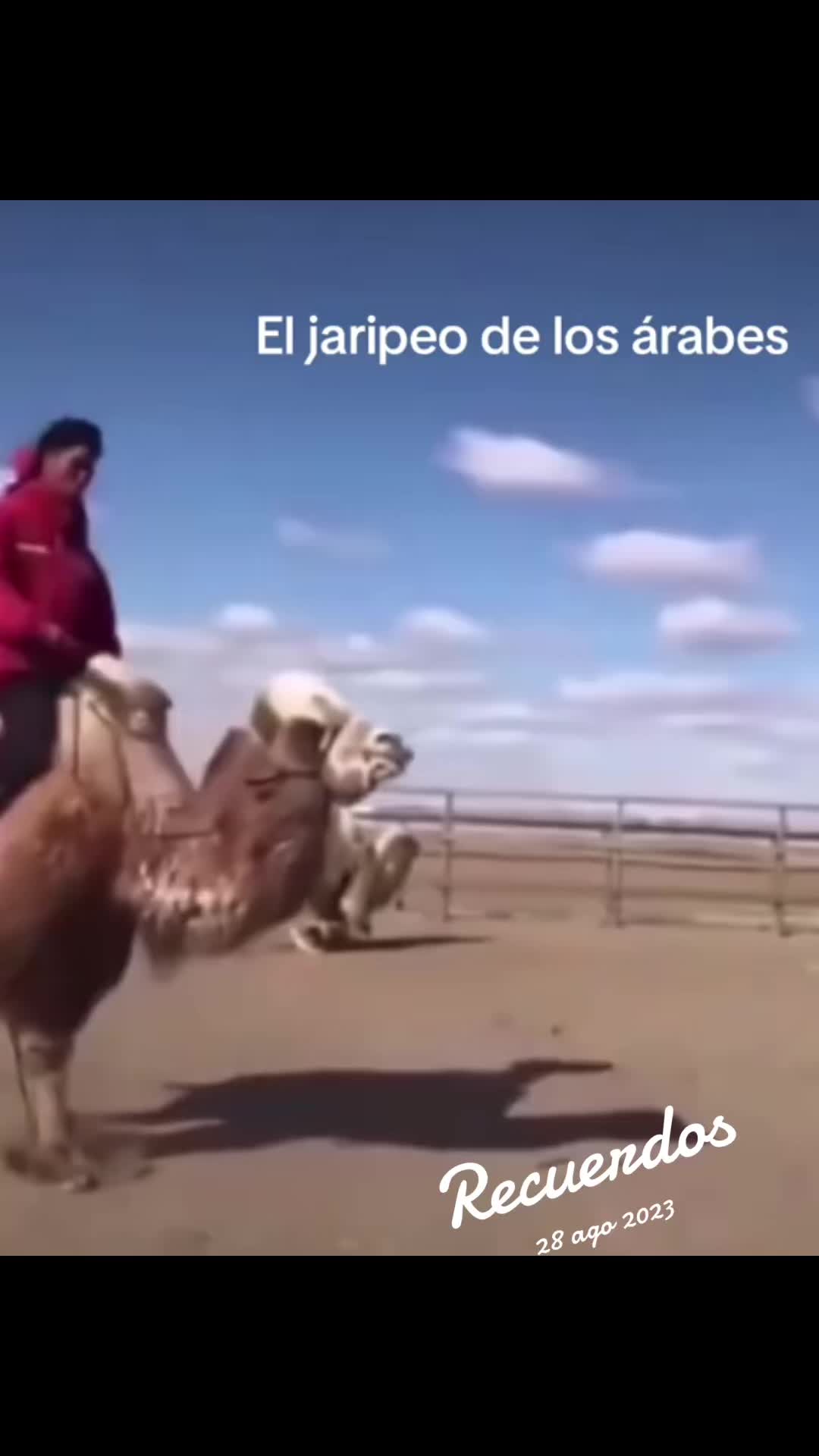 @4marciano