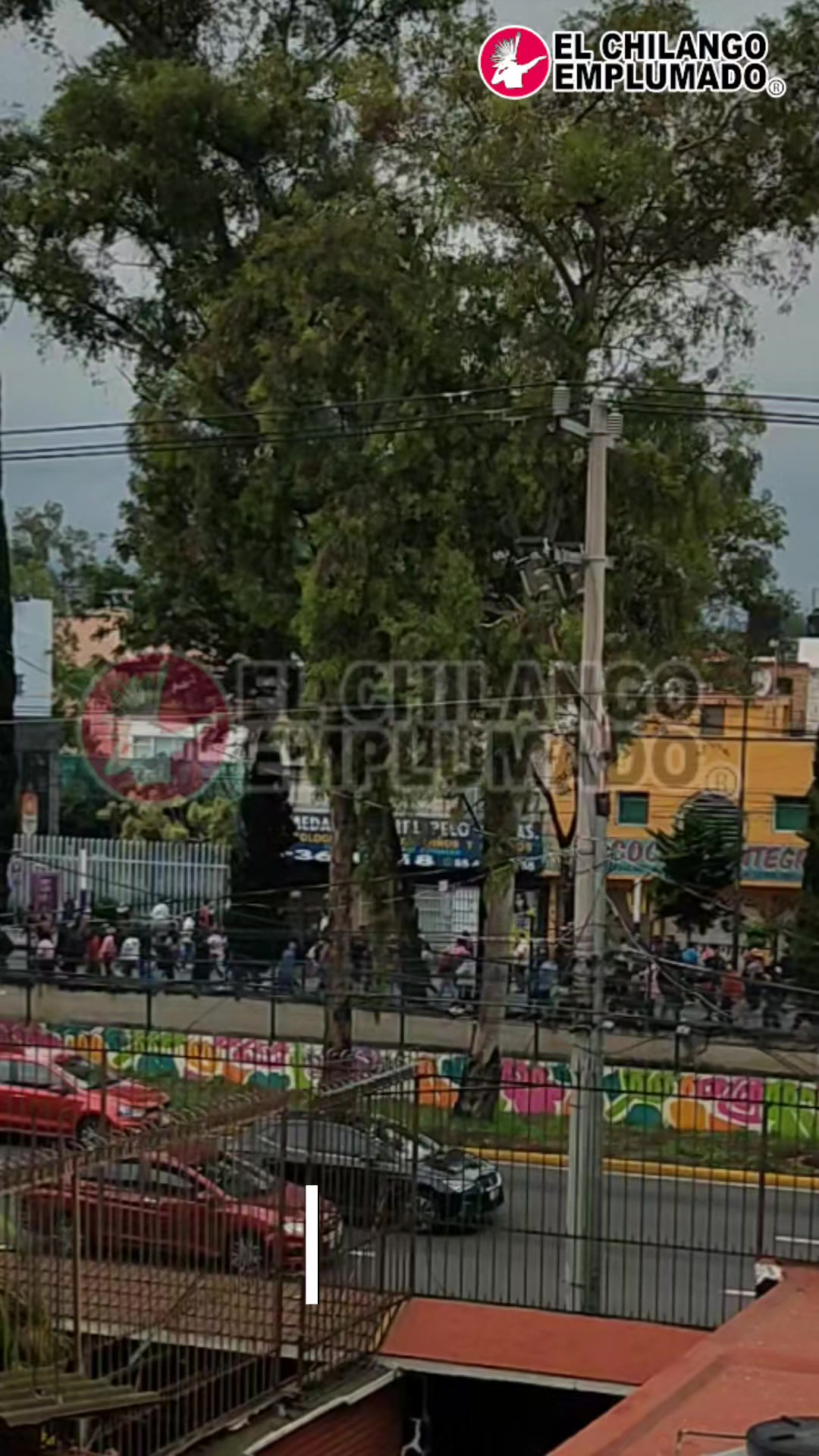 @El Anima de Coyoacan