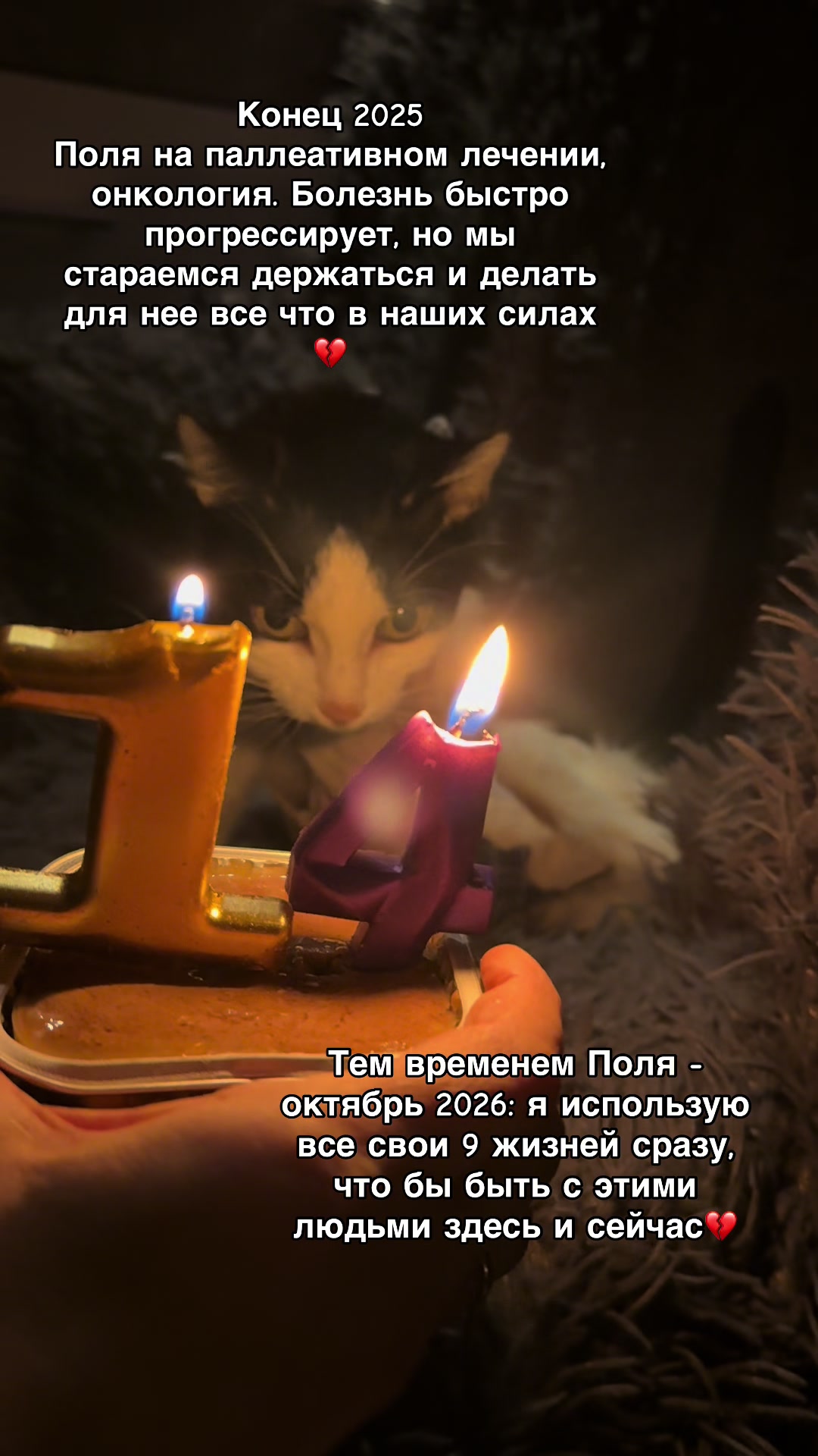 @KittyK@t