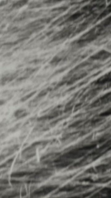 @deadsynth