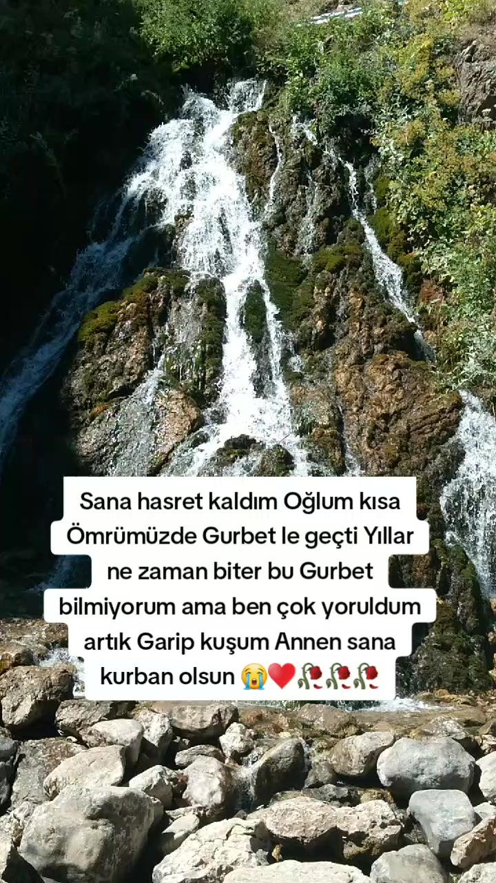 @Sibel Arslan