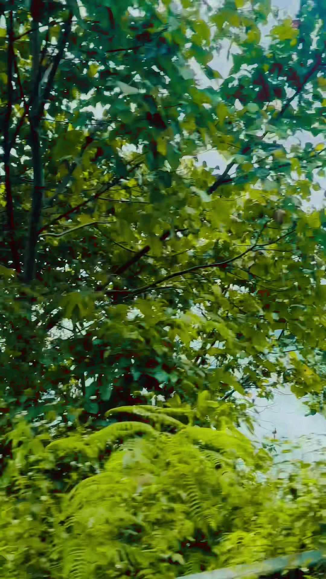 @꧁♡💥ⓢⓞⓝⓘⓨⓐ💥♡꧂