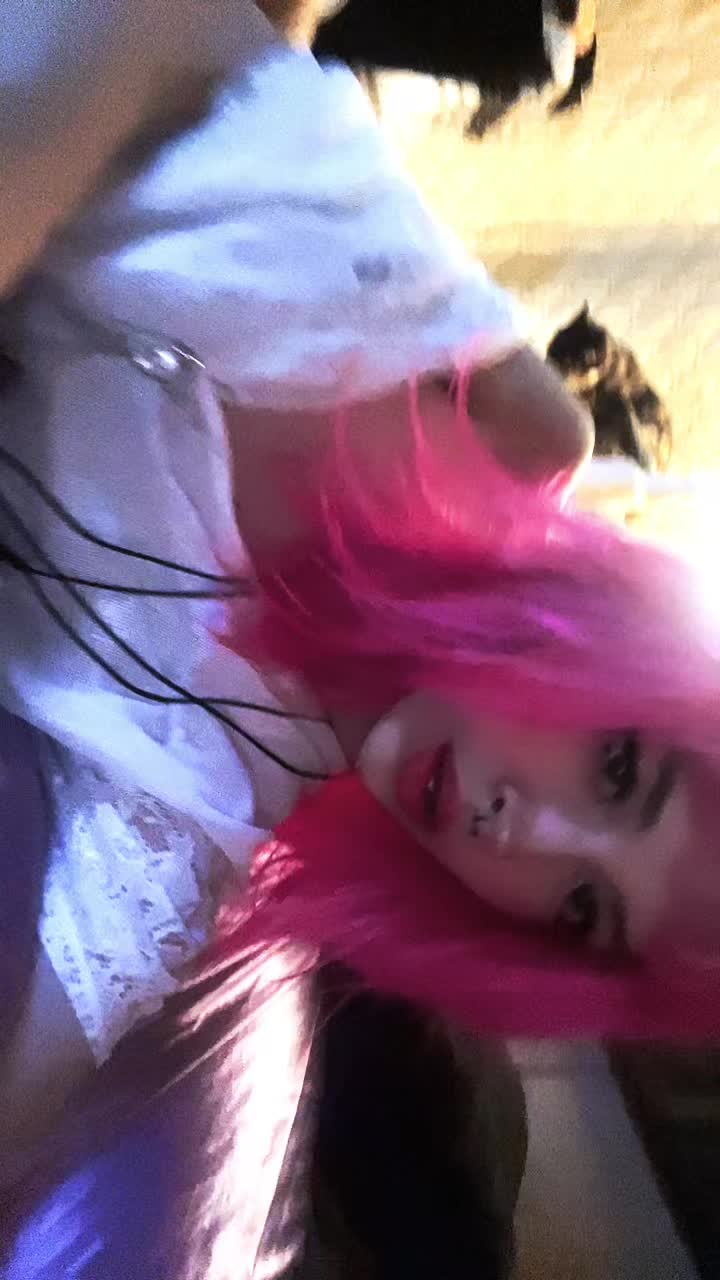 @avi