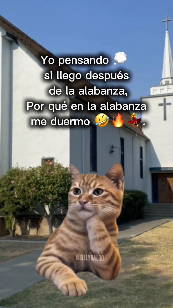 @🌸🛐 nohemi 🎤📚🛐🌸