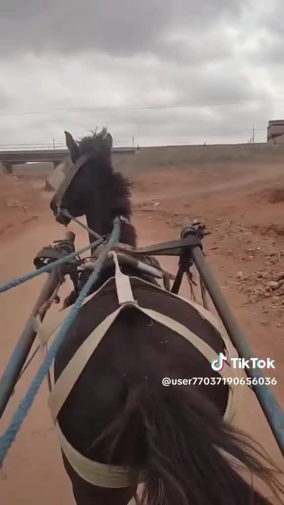 @أمي قبل كل شيئ
