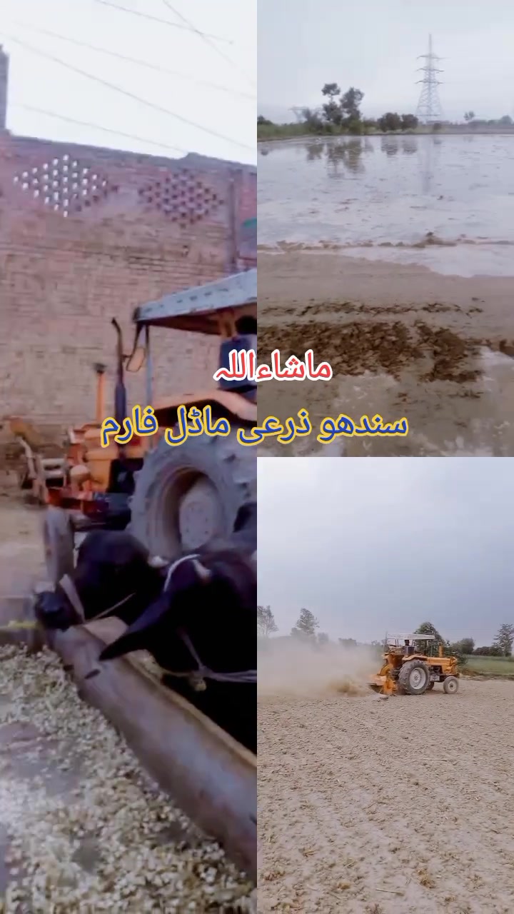 @murtazasandhu5994