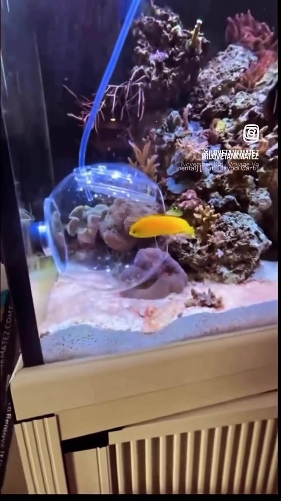@Tankmatez.com USA