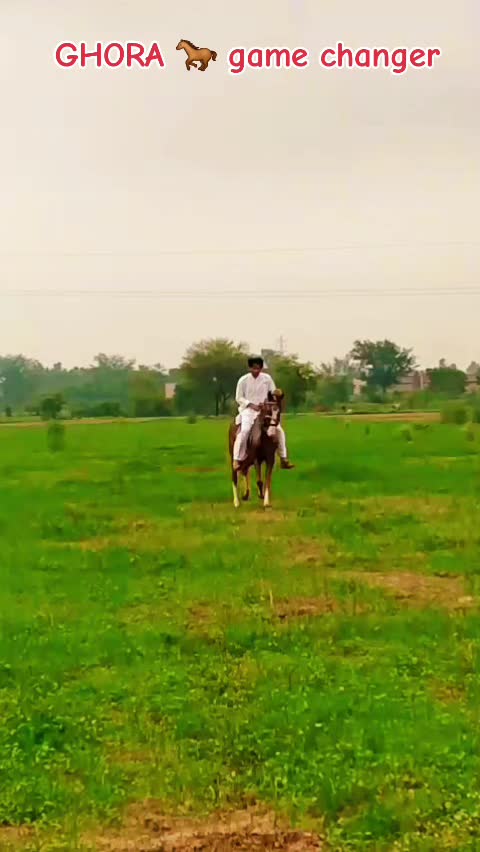 @GUJJAR BADSHAH CHAK PIRANA
