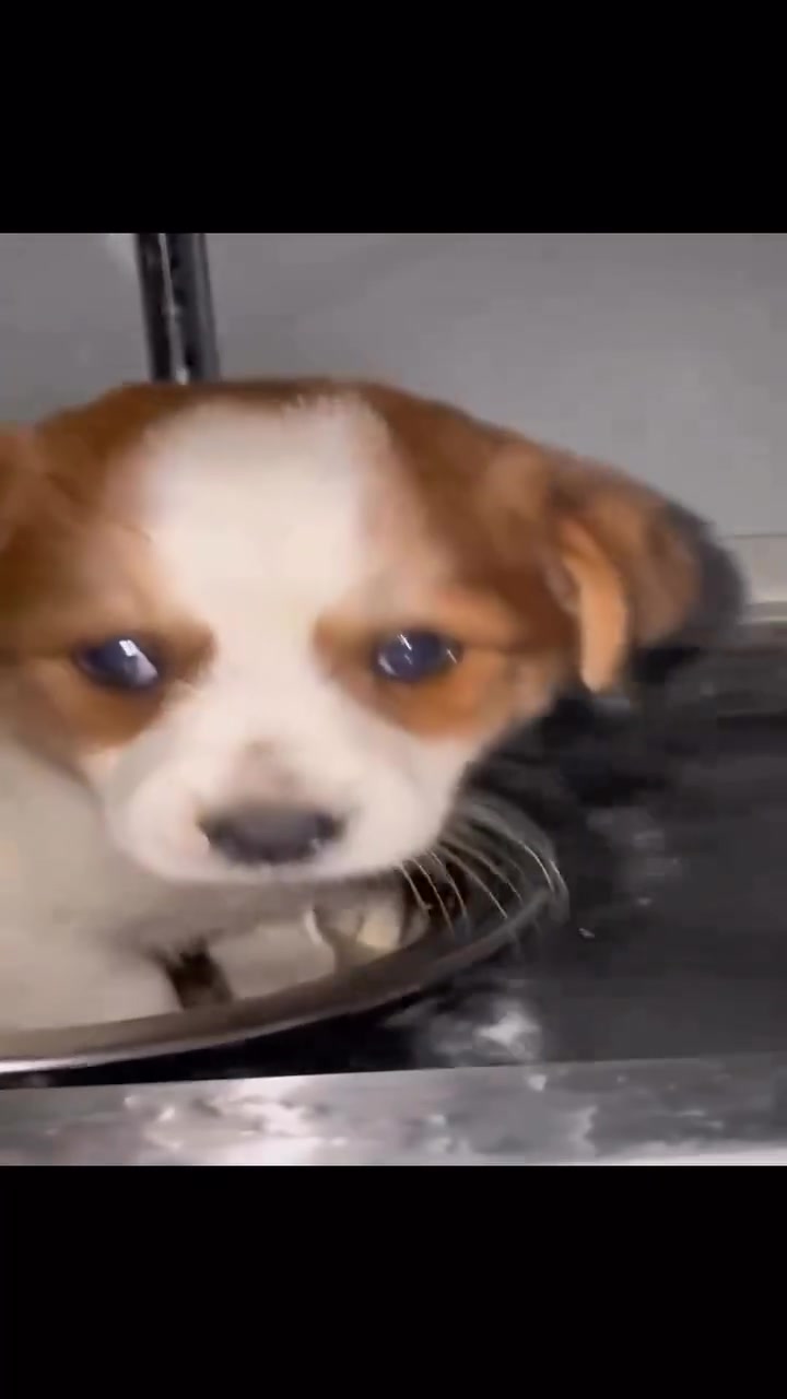 @♡ilyTOMMY♡ ✮⋆˙