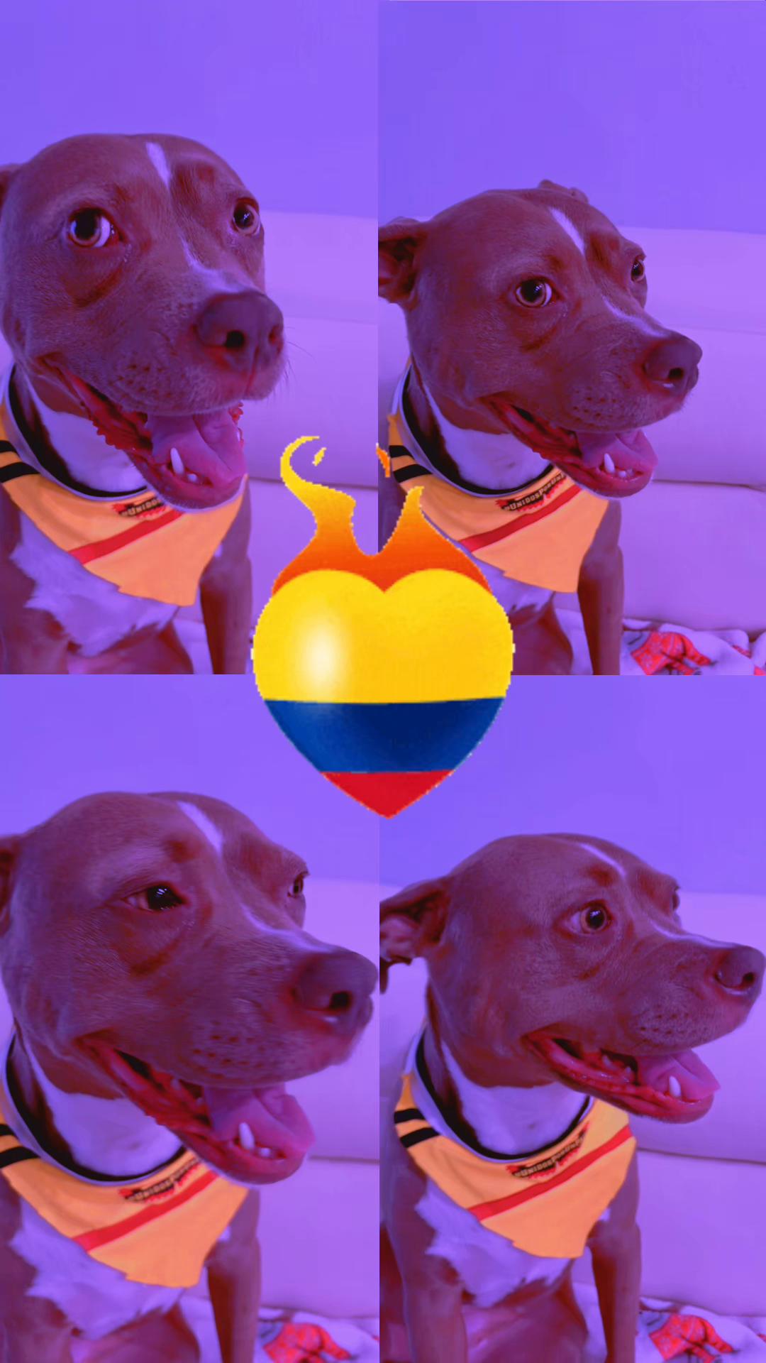 @🇨🇴🇺🇸