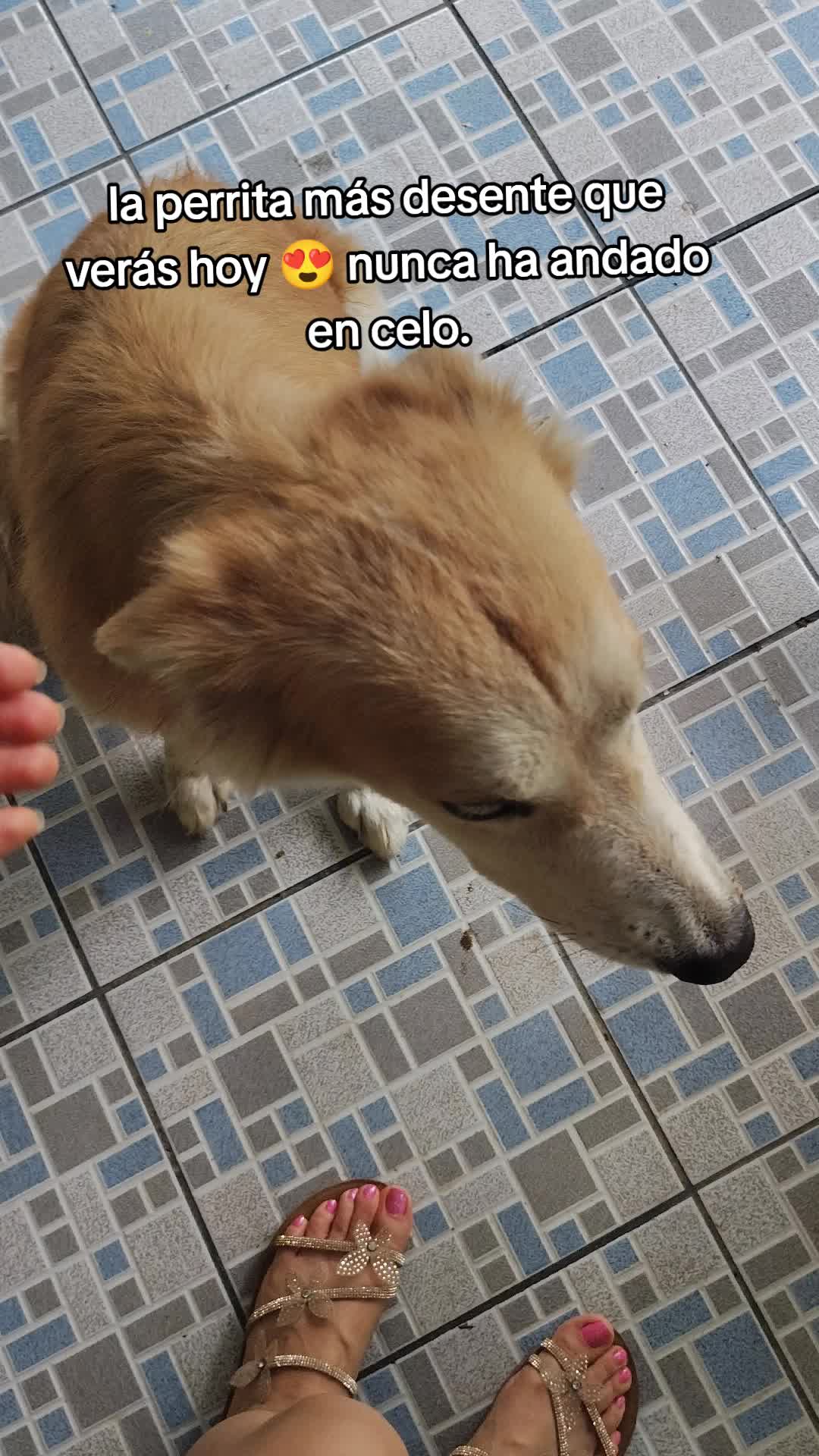 @Charlotte🐕&zwj;🦺🐈🐕🦬🐐🐎🐄🐒