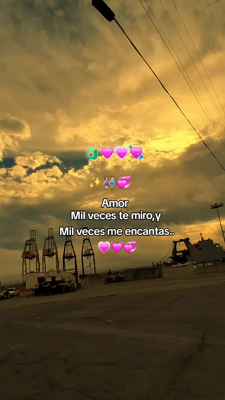 @✨️🧸fraces ✨️🧸