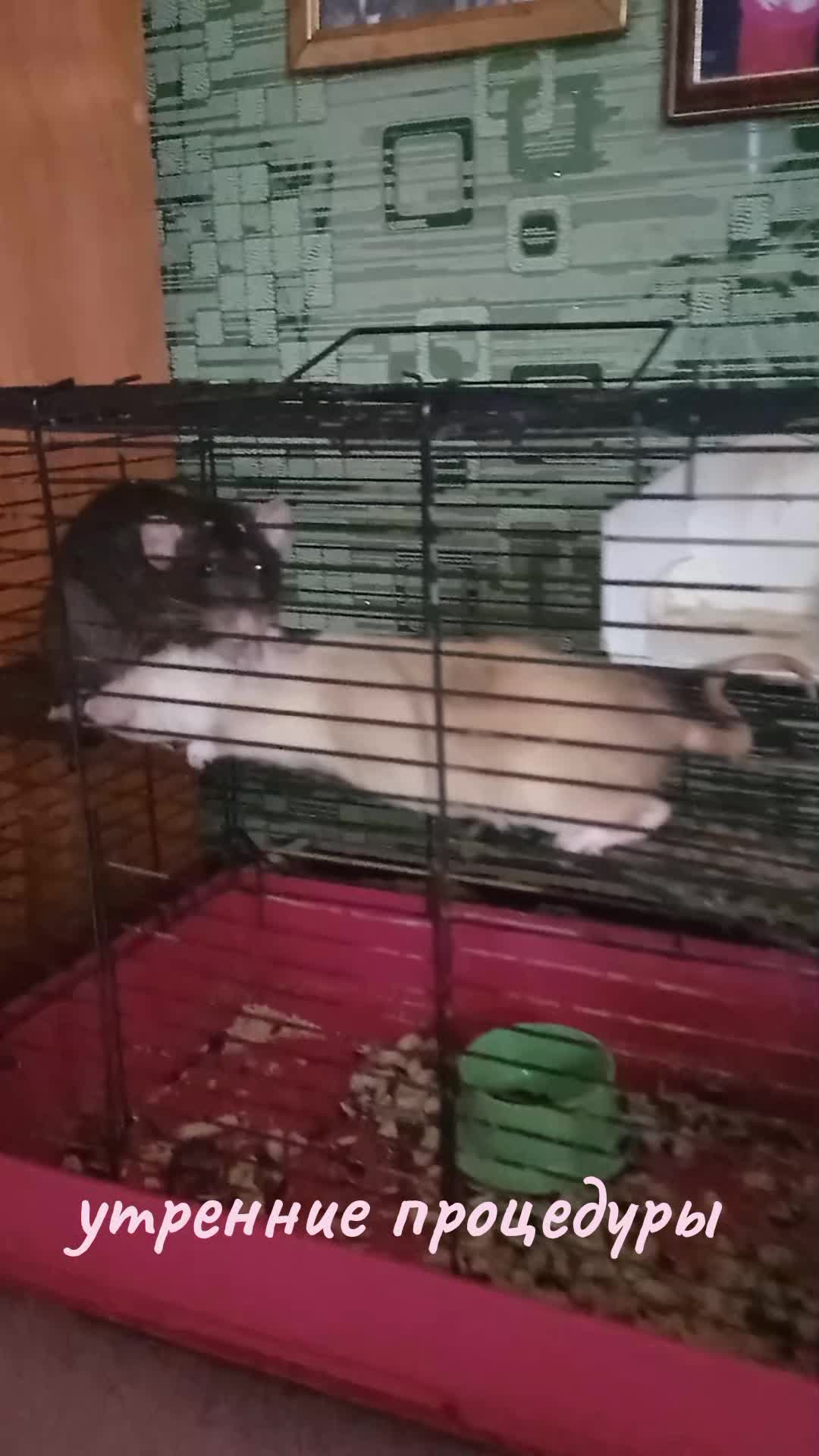 @УМКА