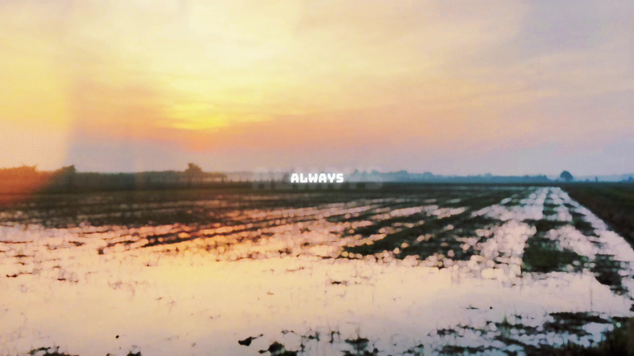@ʀᴀᴅɪᴏ ♪ ♪