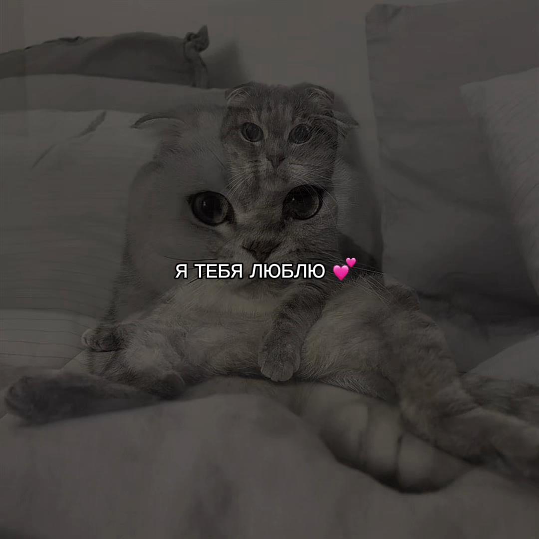 @ХХИКА