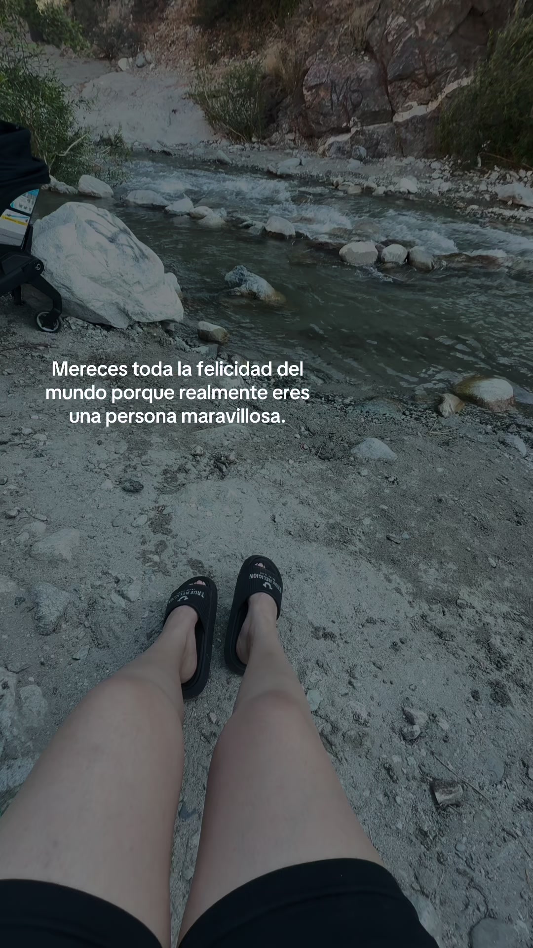 @Diana Lara.