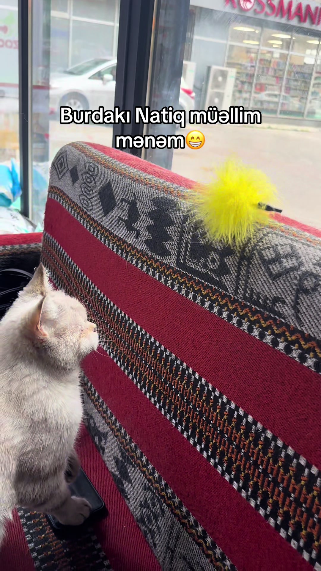 @𝙈ə𝙨𝙩𝙖𝙣🇦🇿♐