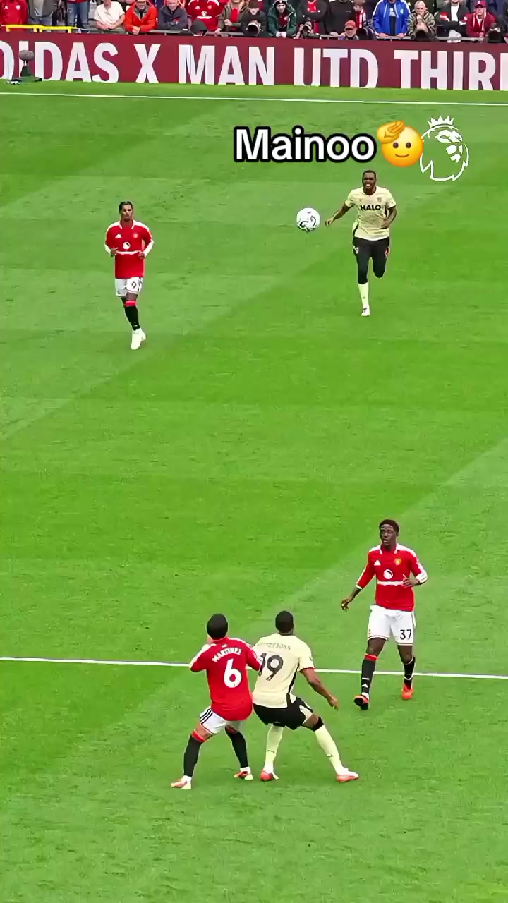 @Vini team United