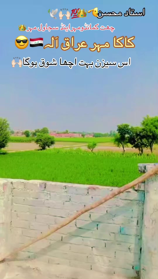 @کاکا مہر عراق آلہ 🤼🙌🏻💯