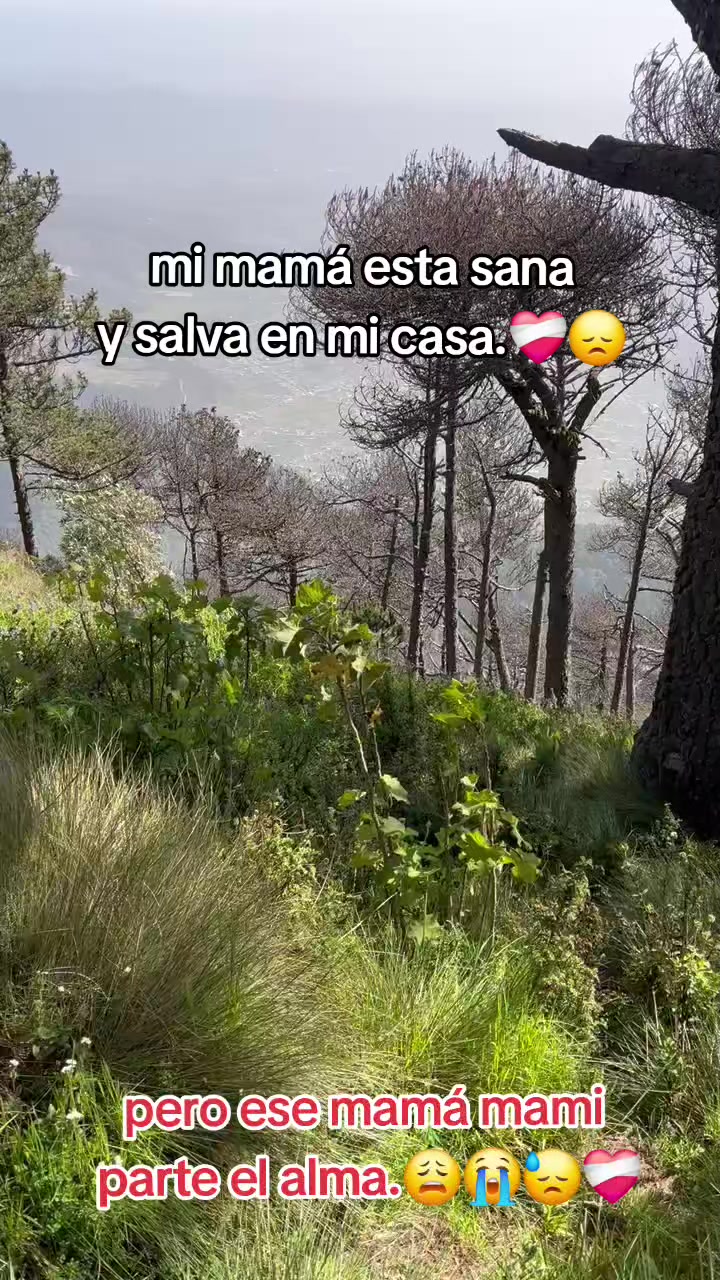 @🇬🇹🐝🦋LELY🦙ABEJITA🐝🍦🐜🥦