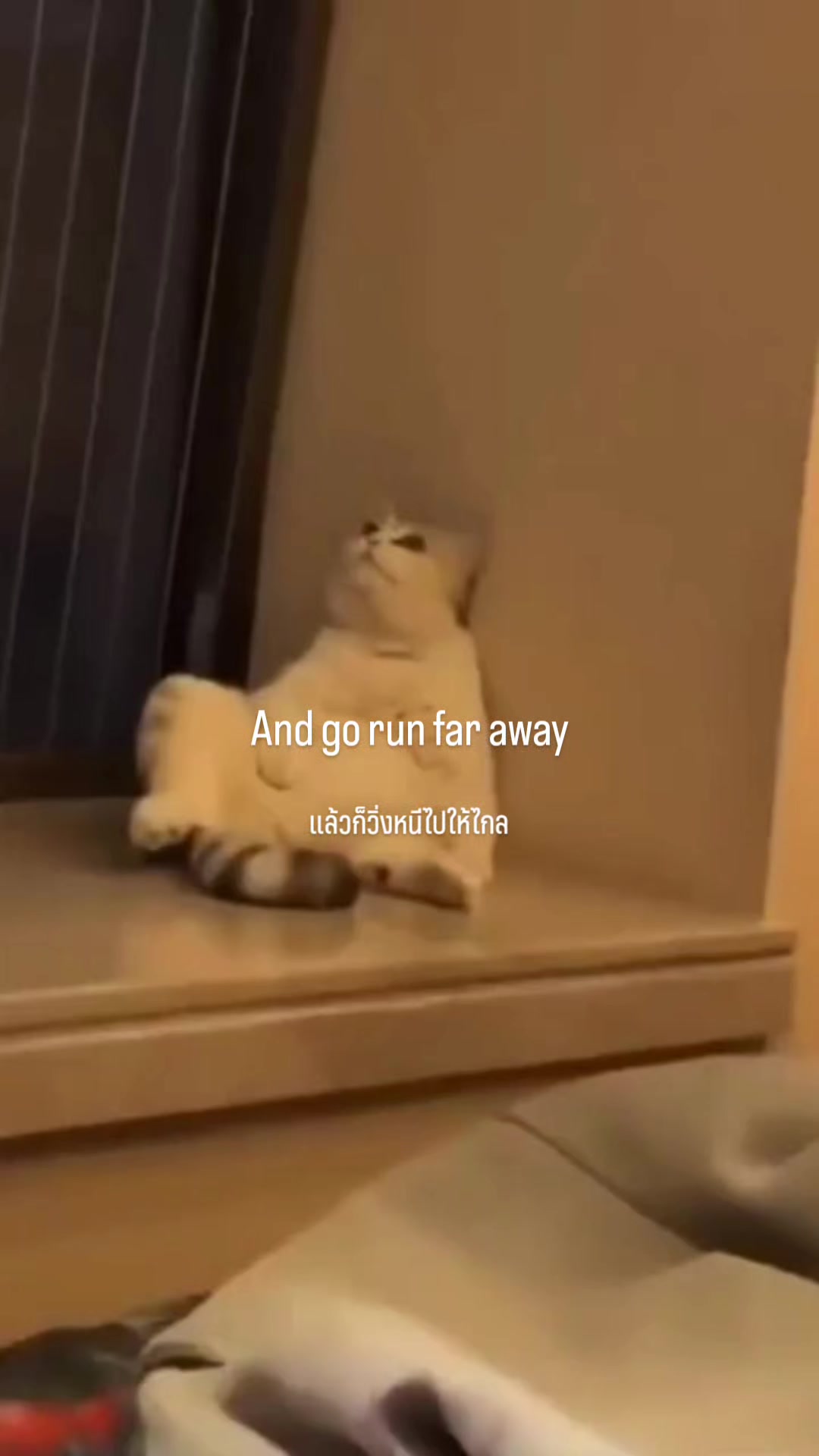 @Sh1e Cr4sh
