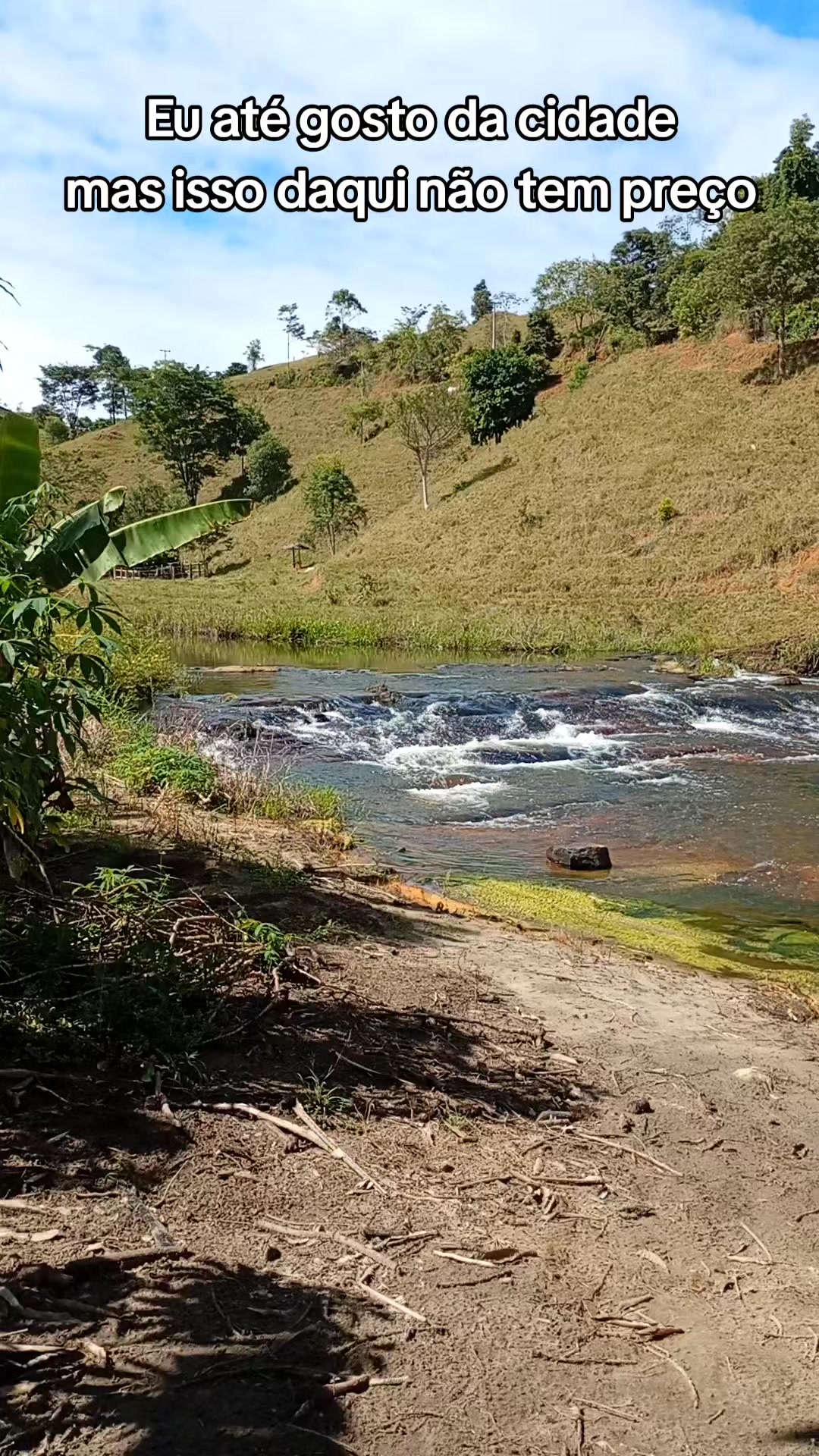 @Roça 🤠🌱